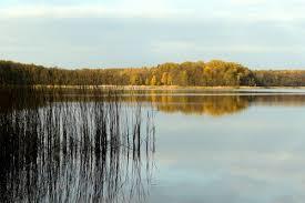 Jezioro Strzeszyńskie